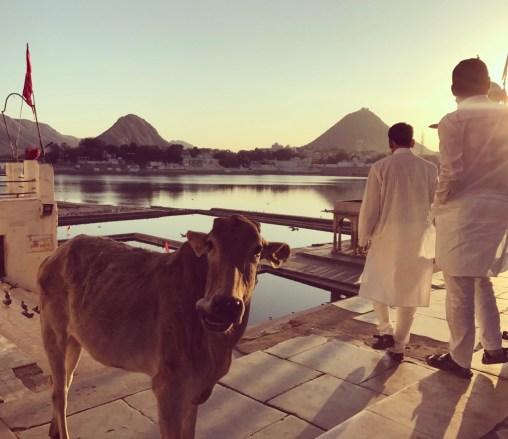 unadjustednonraw_thumb_1078